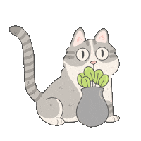 Cat Kitten Sticker