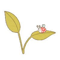 Stefisundays plant leaf leaves ladybug Sticker