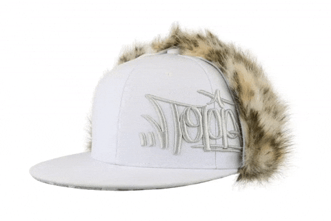 Dogearhat GIF by Toppaldn