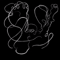 Lines Curl GIF by Yin Wrong