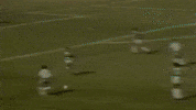 GIF by SE Palmeiras
