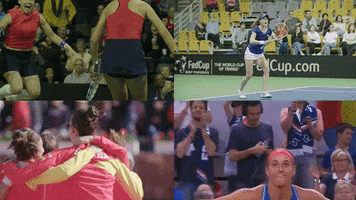 Jumping France GIF by Fed Cup by BNP Paribas