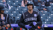 Major League Baseball Sport GIF by MLB