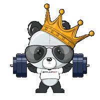 Fitness Workout Sticker by PandaPals