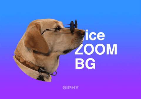 Zoom Psa GIF by GIPHY Cares