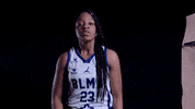 BLMA lfb blma gogazelles ligue féminine de basket GIF