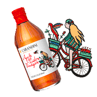 Apple Cider Vinegar Vinagre Sticker by Carandini Official