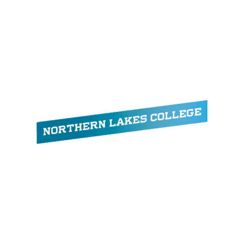 Nlcgrad Sticker by NLC