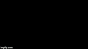 mezcalmitre mexico mezcal jaguar oaxaca GIF
