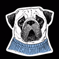 olenavasiv cat dog pig dino GIF