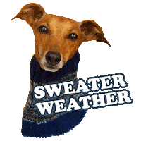 Sweater Weather Fashion Sticker