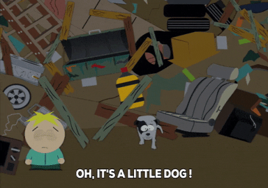 butters stotch dog GIF by South Park 
