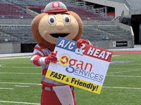 LoganServices osu ohio state buckeyes ohio state buckeyes GIF