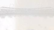 creighton bluejays GIF by Creighton University Athletics