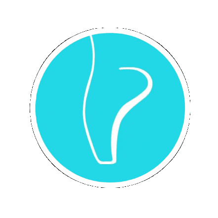 perfectfitpointe giphygifmaker ballet ballerina pf Sticker