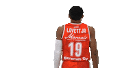 Sport Basketball Sticker by Basket_fi