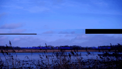 kaathouben giphybackdropmaker ecobitch expeditienatuurpunt wijvenheide GIF