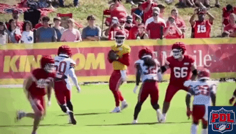 Pacheco GIF by The Undroppables