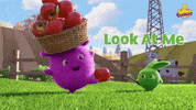 Get In Look At Me GIF by Sunny Bunnies