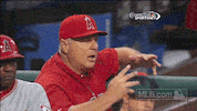 ana GIF by MLB