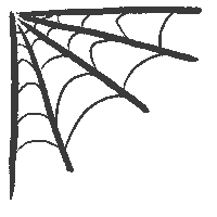 Spider Web Halloween Sticker by Kendra Scott