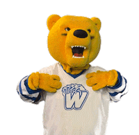 Bear Mascot Sticker by Western New England University