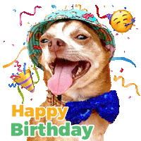 Celebrating Happy Birthday Sticker by Pimp Yo Pets