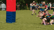 KXSRFC rugby steelers kxsrfc kings cross steelers GIF