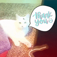 Cat Thank You GIF