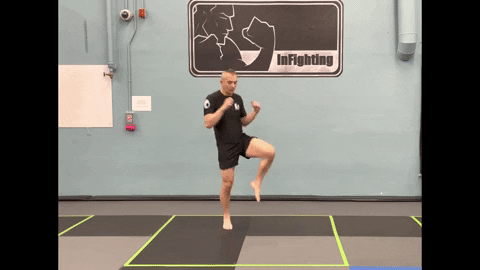 ritchieyip giphygifmaker kickboxing left knee GIF