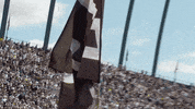 Football Reaction GIF by Purdue Sports