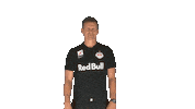 Lets Go Coach Sticker by FC Red Bull Salzburg
