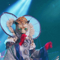 Fox GIF by The Masked Singer