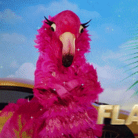 Fox GIF by The Masked Singer