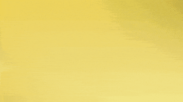 Happy Borussia Dortmund GIF by Bundesliga