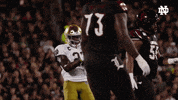 College Football GIF by Notre Dame Fighting Irish