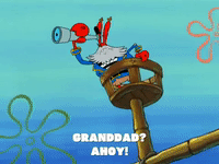 season 6 grandpappy the pirate GIF by SpongeBob SquarePants