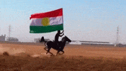 Horse Flag GIF