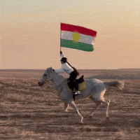 Horse Flag GIF