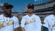 Major League Baseball Sport GIF by MLB