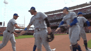 Sport Win GIF by New York Mets