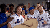 Celebrate Home Run GIF by New York Mets