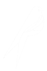 Bird Sticker by Ark Glyfada