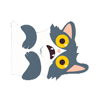 Cat Love Sticker by Solla Mascotas