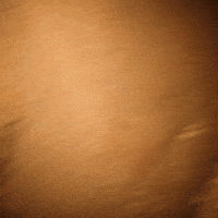 Halloween No GIF by Exclusive Brands