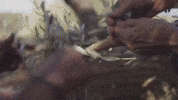 Travel Mar GIF by Casol