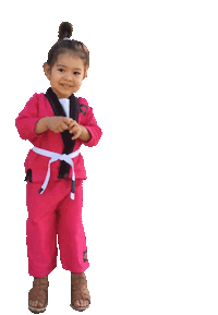 Beware Downey Ca Sticker by Academy Jiu-Jitsu