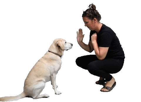 Drink Beer Sticker by Brouwerij Frontaal