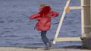 thisissigrid sigrid mine right now GIF