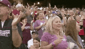 Baseball College GIF by NCAA Championships